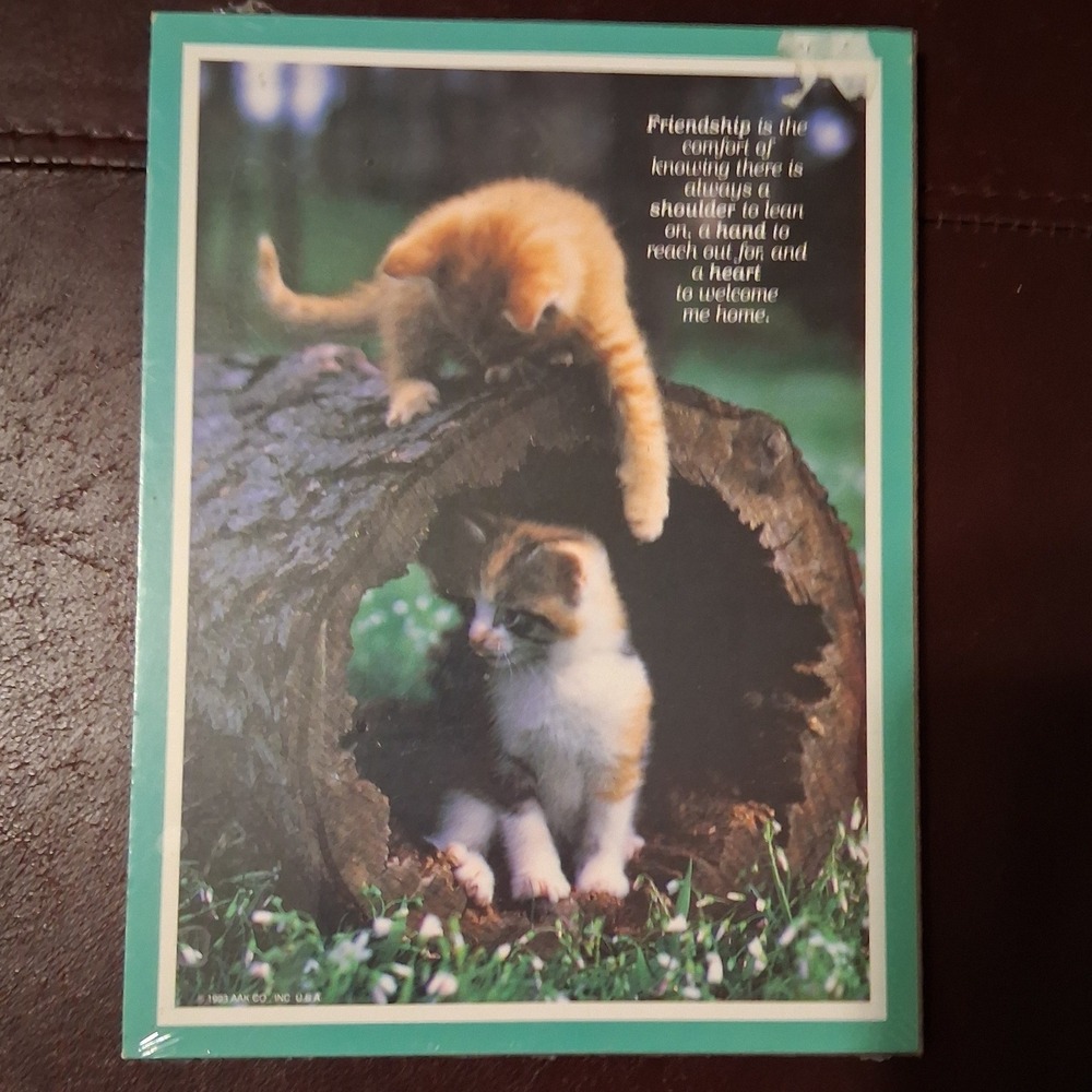 Vintage 1993 Graphic Greetings Kitten Friendship Plaque 90s Cat Decor New Sealed